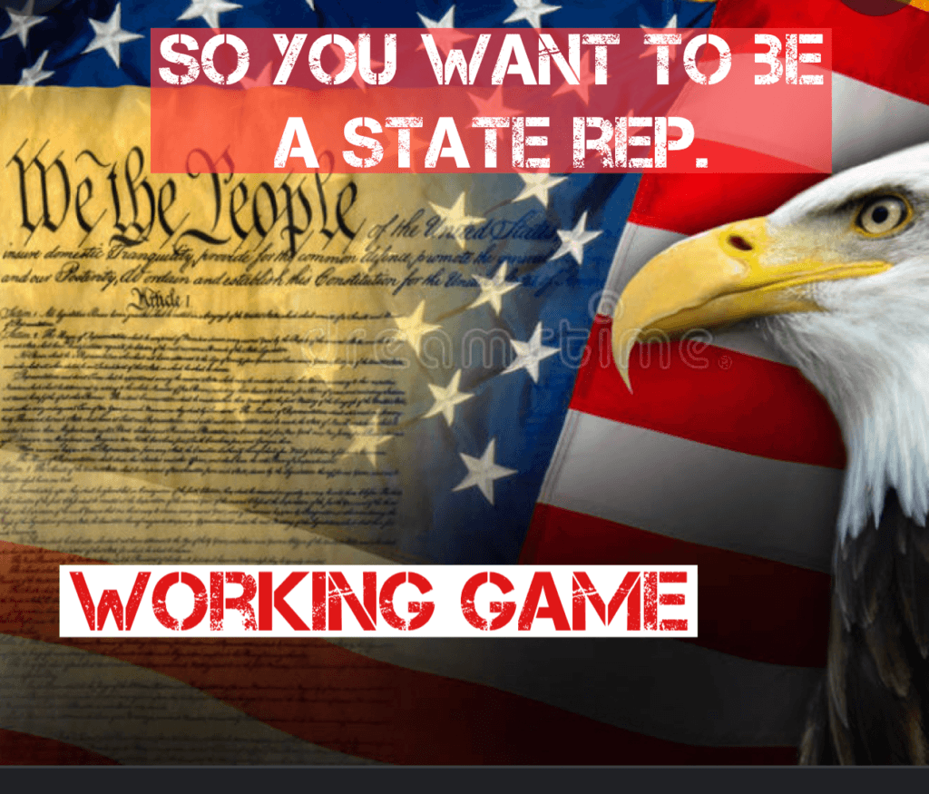 So you want to be a state rep cover art.